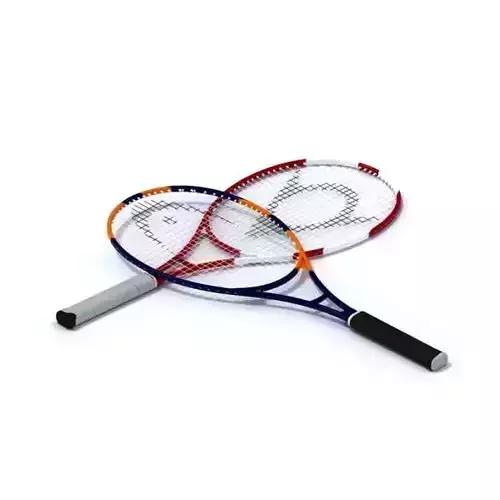 Sturdy Tennis Raquet 3D model