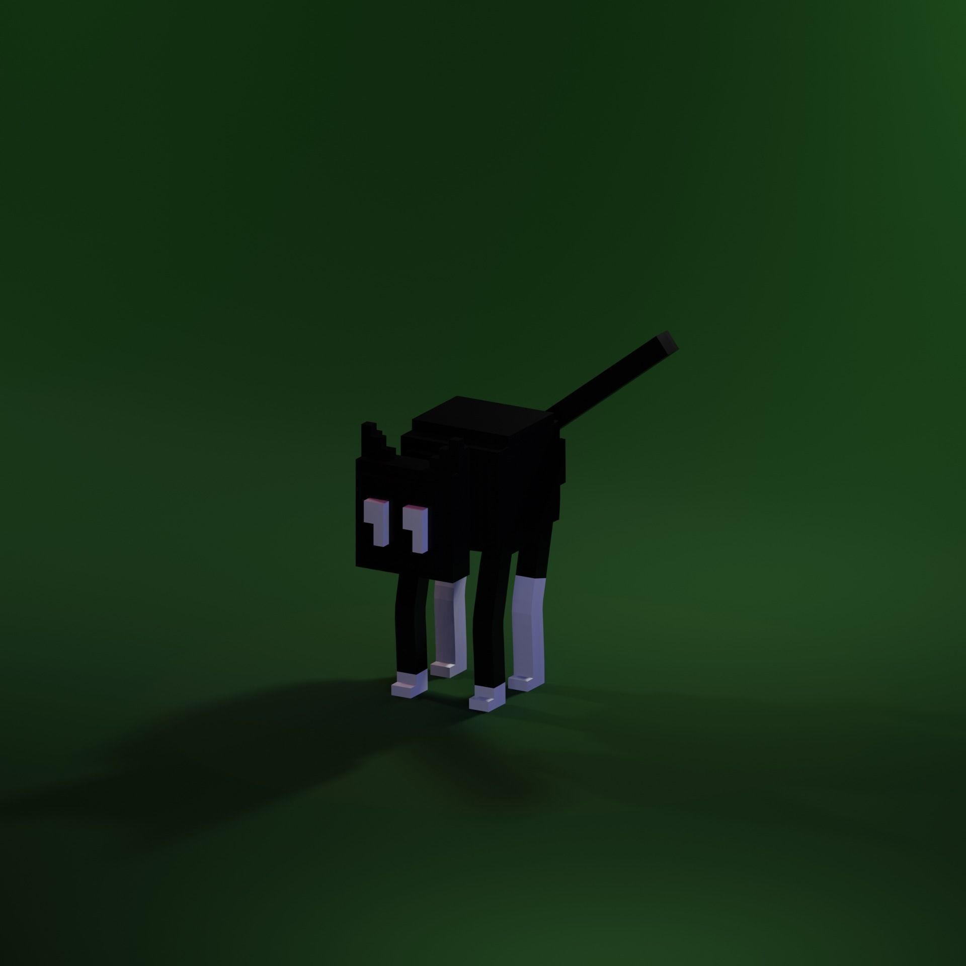 Black Cat NFT model Rigged with Animation Character  Low-poly 3D model_9