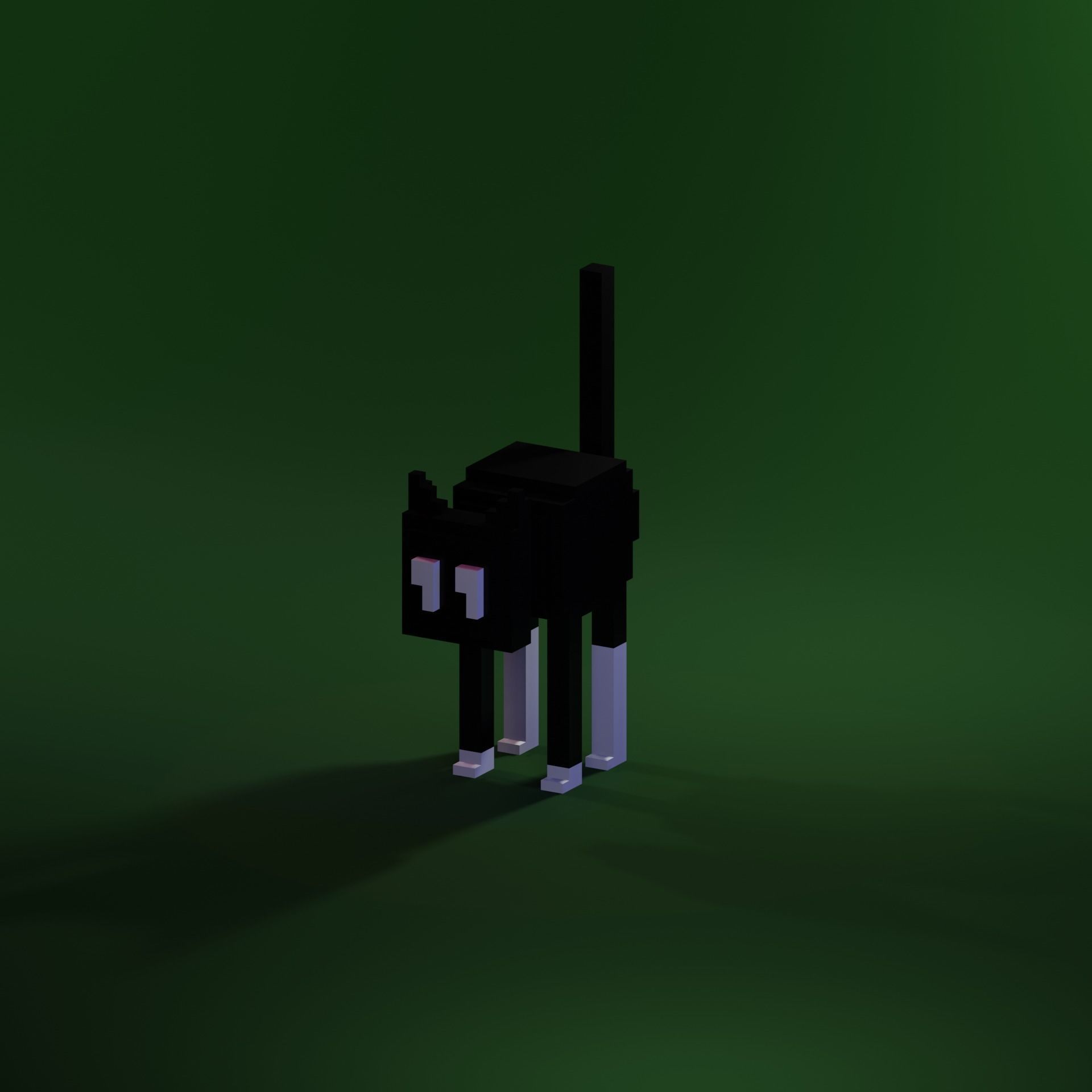 Black Cat NFT model Rigged with Animation Character  Low-poly 3D model_8