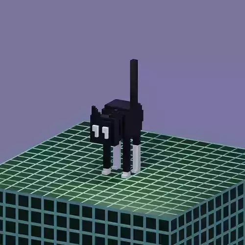 Black Cat nft model Rigged with Animation Character