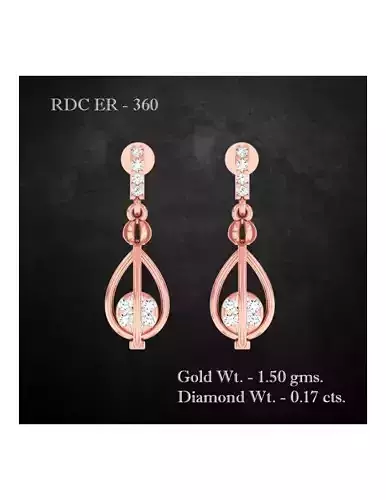 Earrings - 360