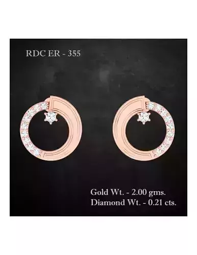 Earrings - 355