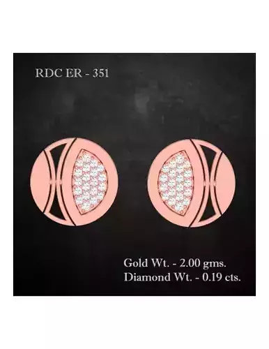 Earrings - 351