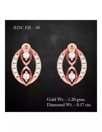 Earrings - 30