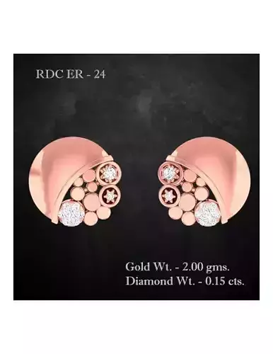 Earrings - 24