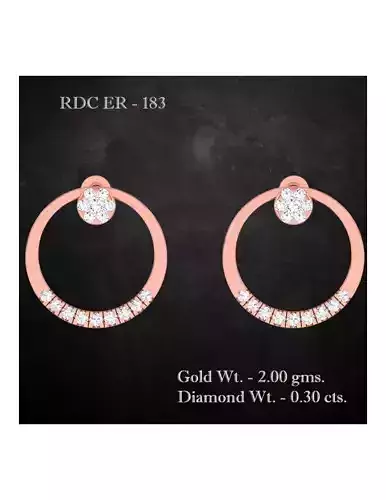 Earrings - 183