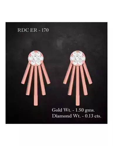 Earrings - 170