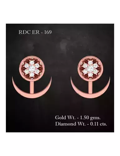 Earrings - 169