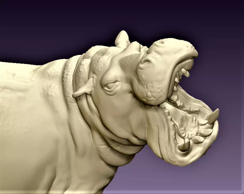 Angry Hippo 3D print model
