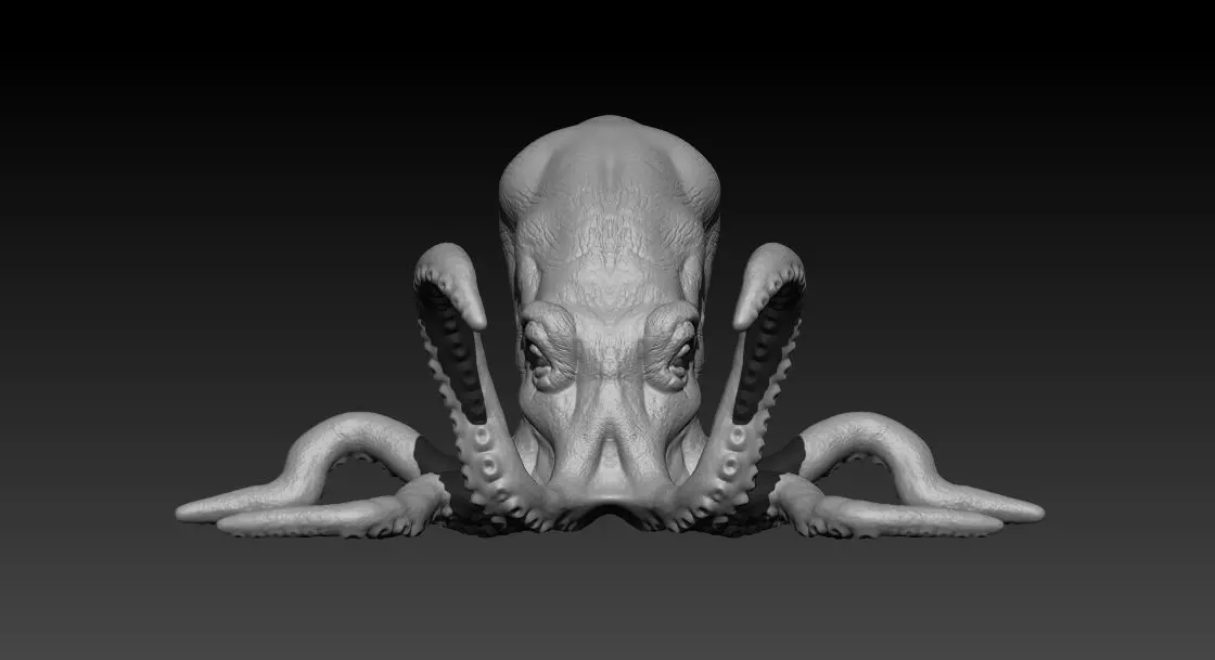 Realistic 3D Octopus Model Free 3D model