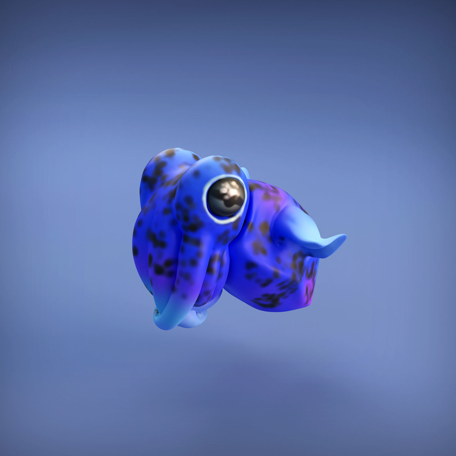 Bobtail Squid for 3D Printing 3D print model_1
