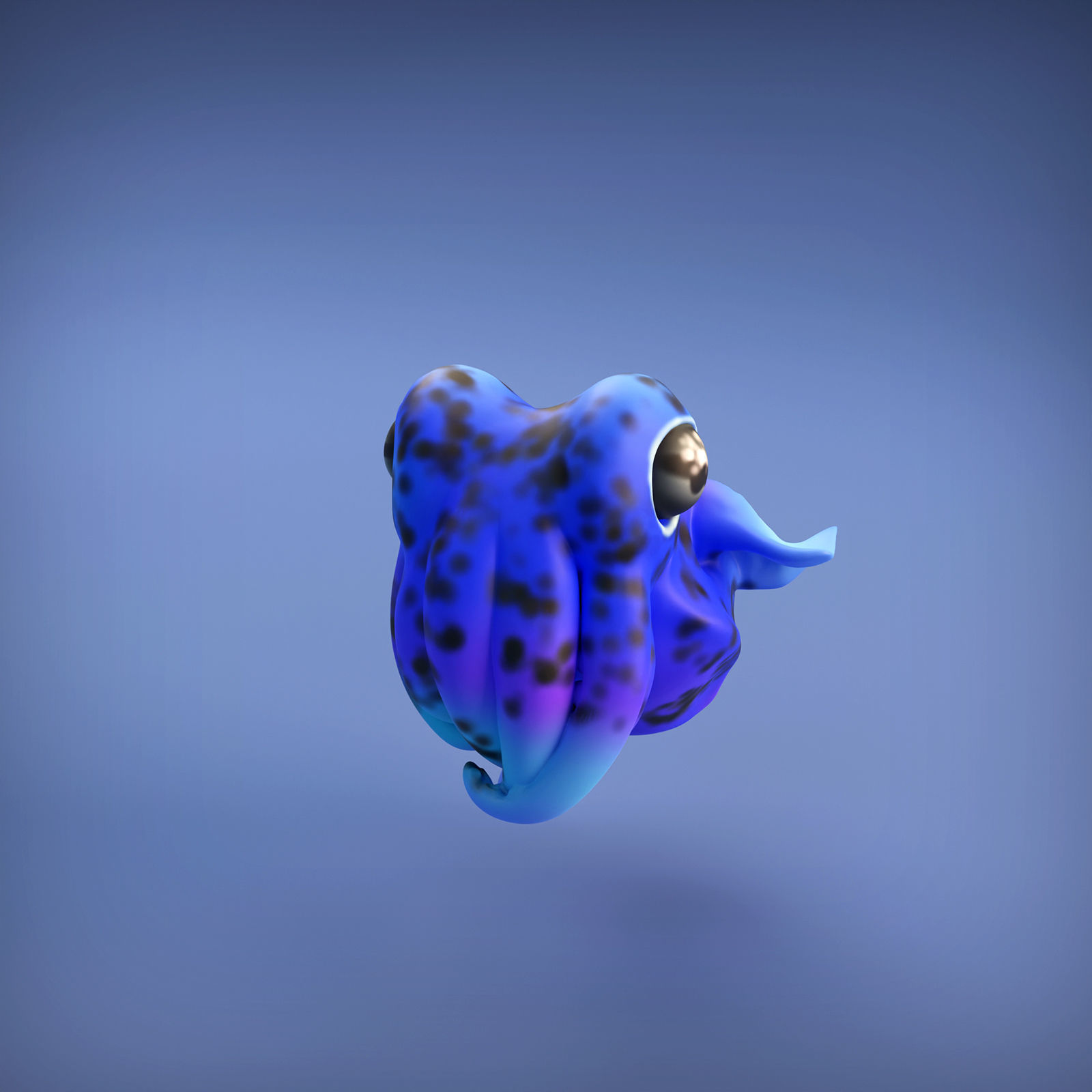 Bobtail Squid for 3D Printing 3D print model_7