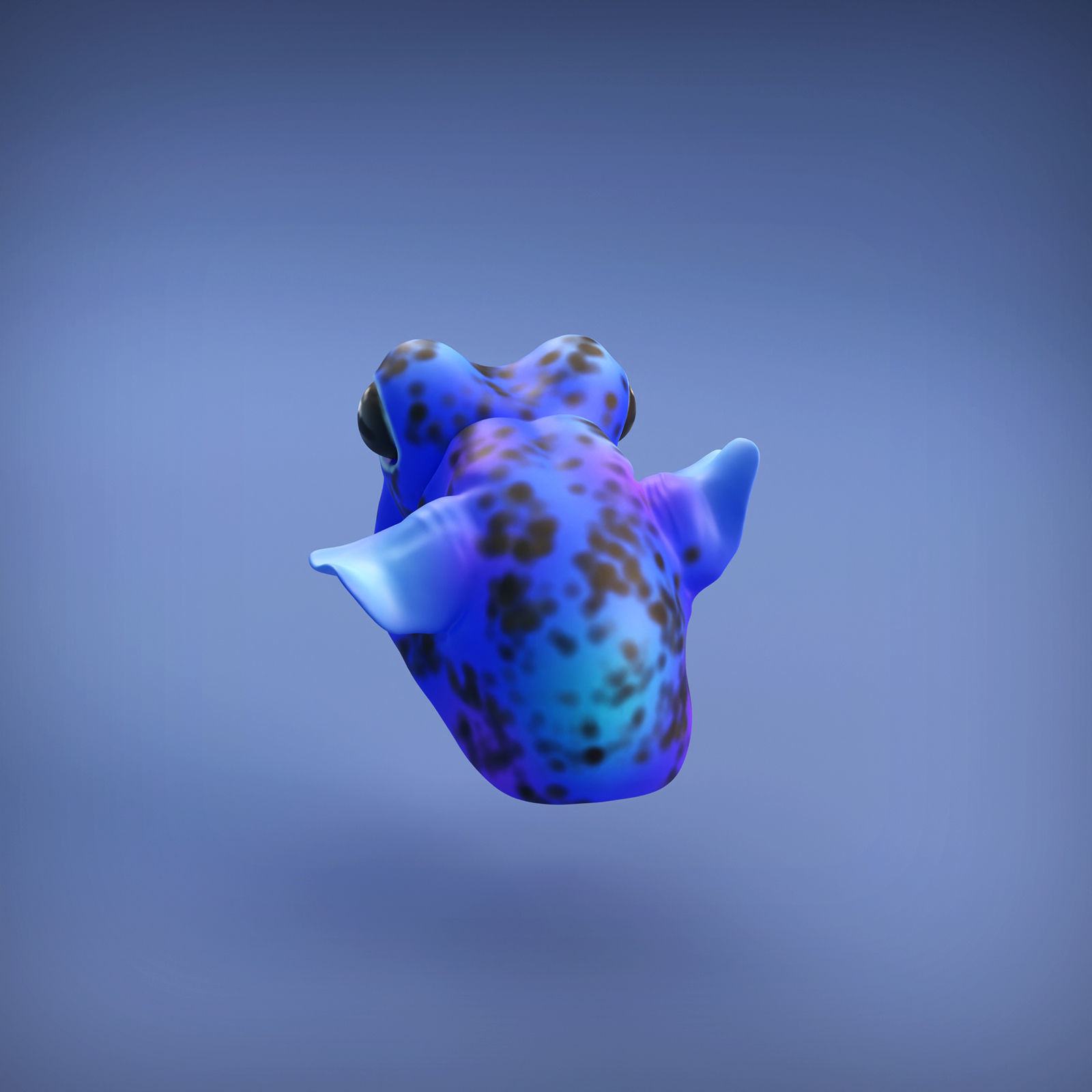Bobtail Squid for 3D Printing 3D print model_5