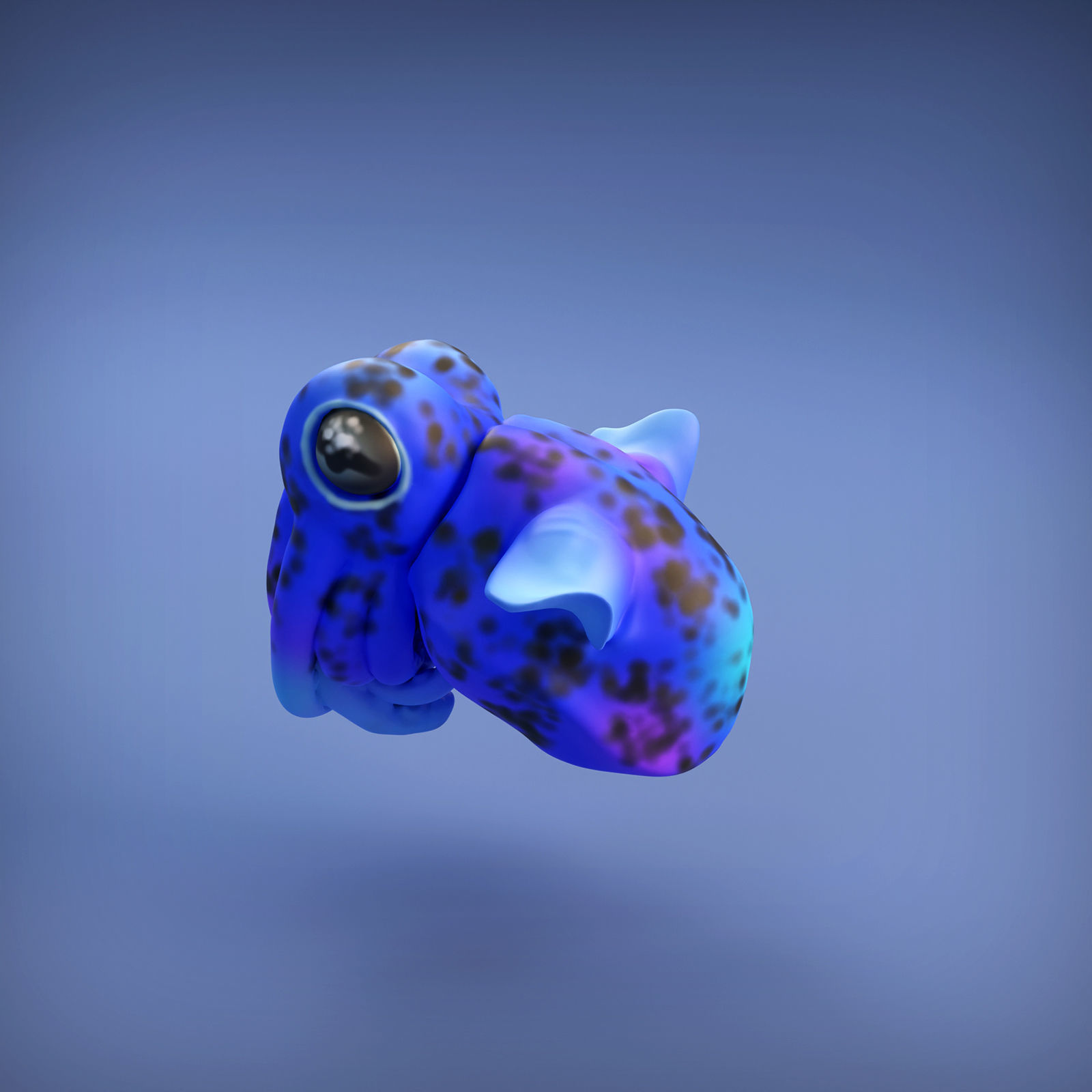 Bobtail Squid for 3D Printing 3D print model_6