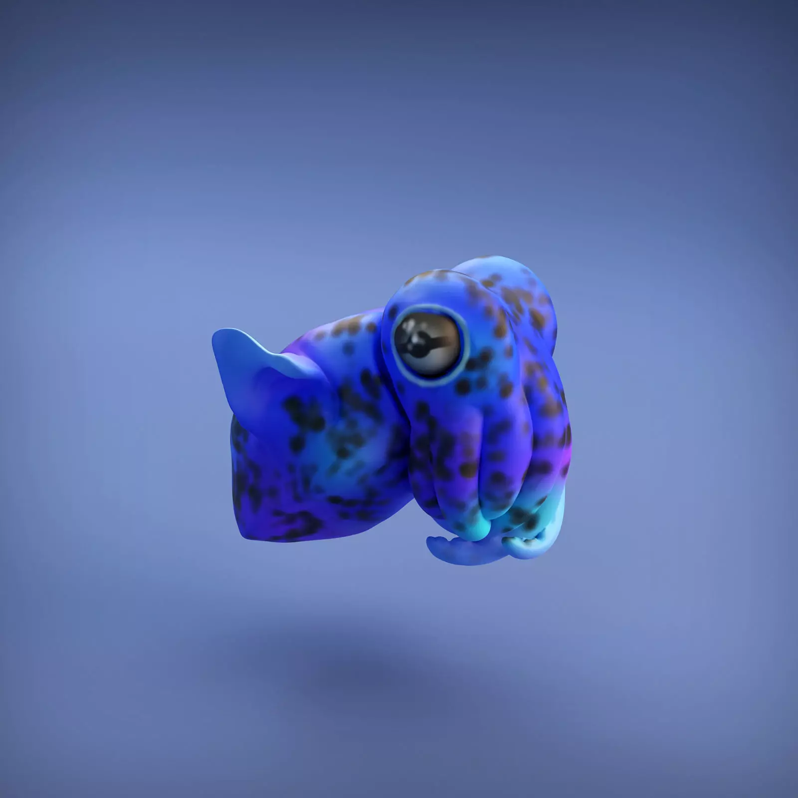 Bobtail Squid for 3D Printing 3D print model_0