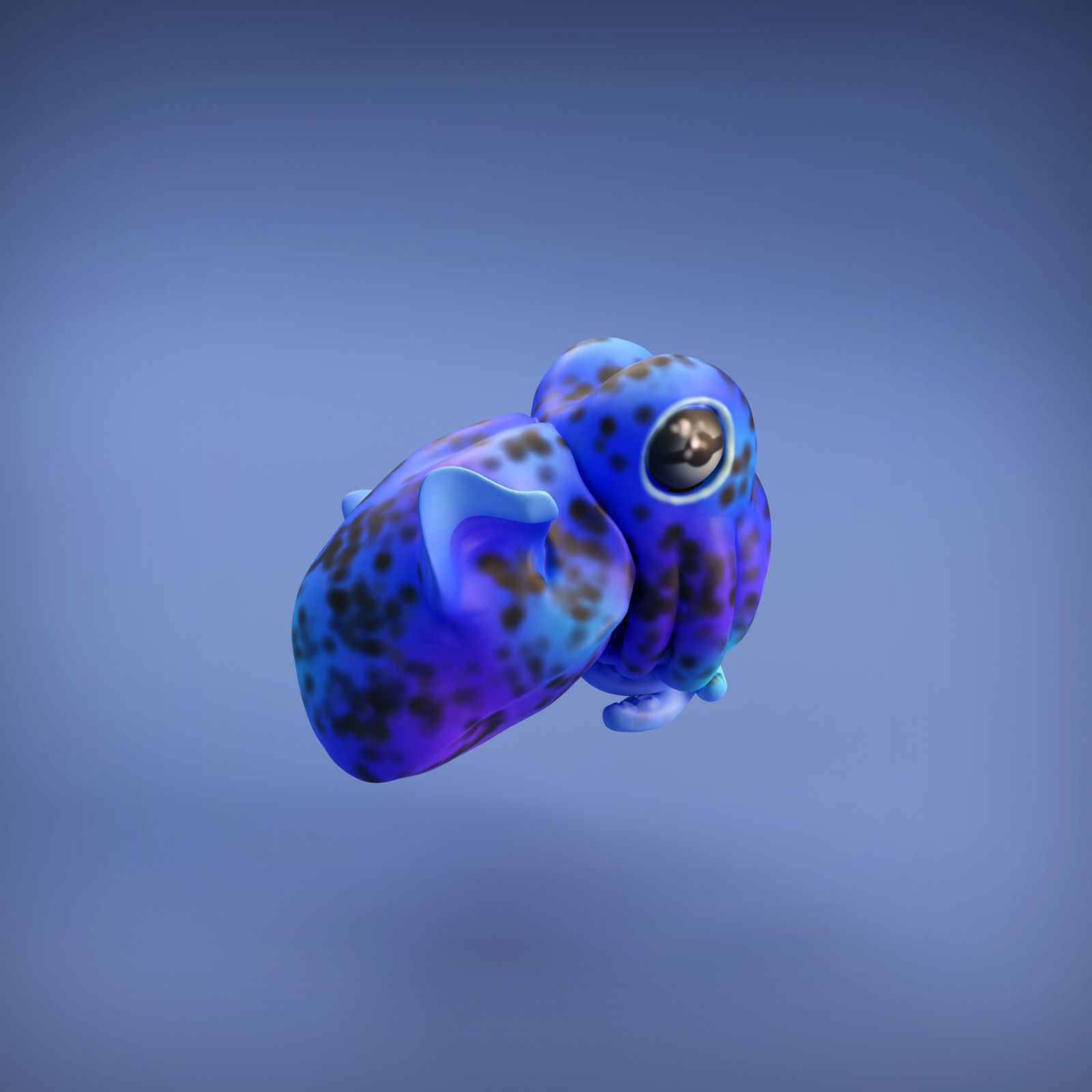 Bobtail Squid for 3D Printing 3D print model_2