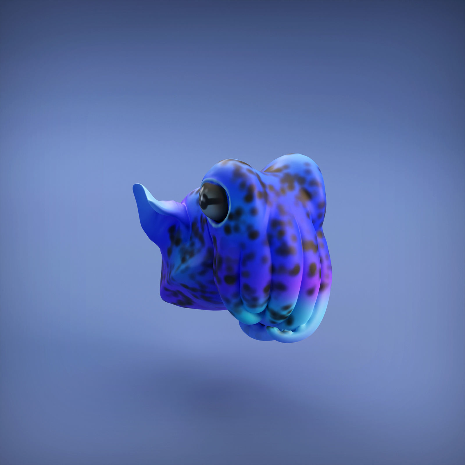 Bobtail Squid for 3D Printing 3D print model_3