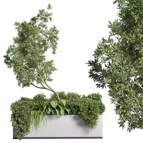 Box pot plant indoor and outdoor for  collection of houseplants