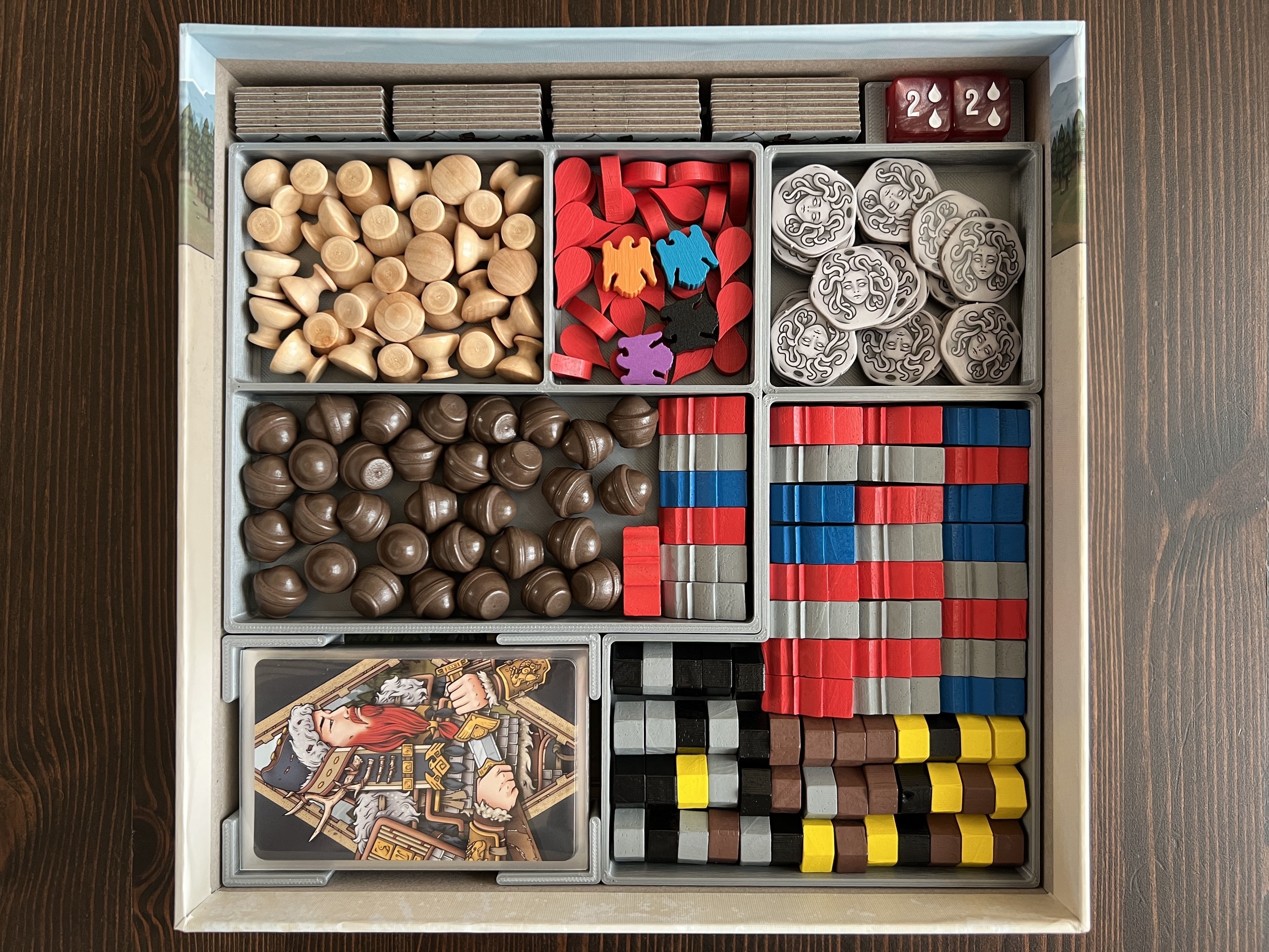 Raiders of Scythia Board Game Organizer Insert 3D print model_2