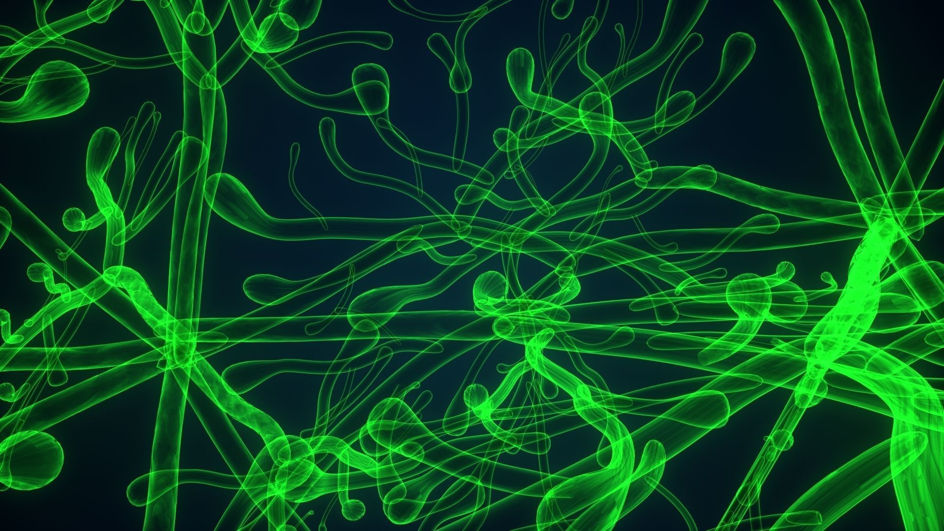 dictyota glowing plant 3D model_7