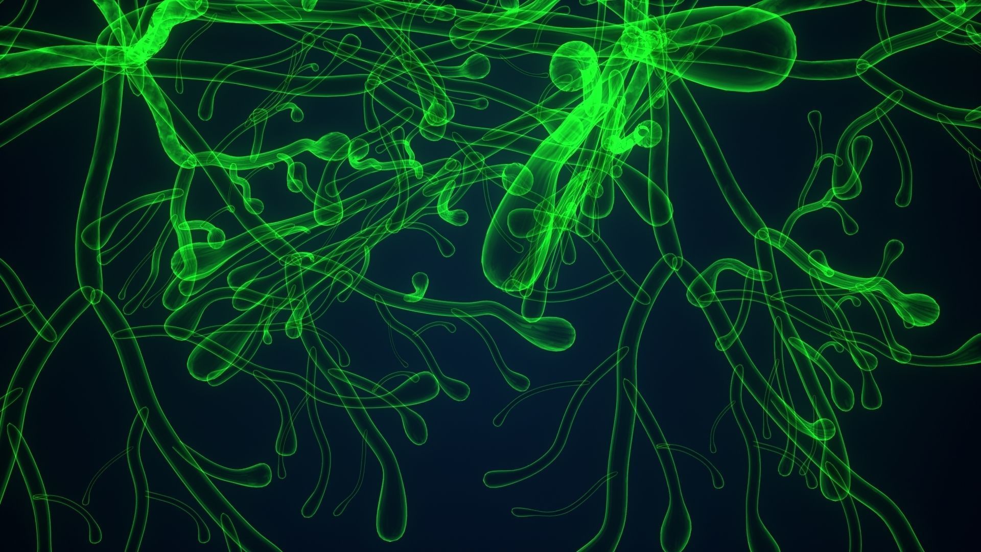 dictyota glowing plant 3D model_5