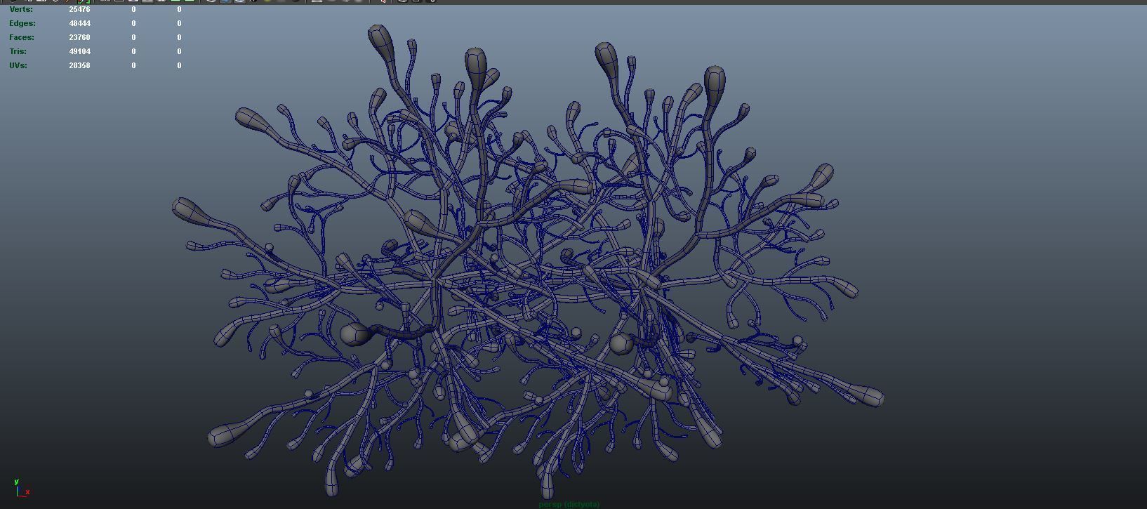 dictyota glowing plant 3D model_12