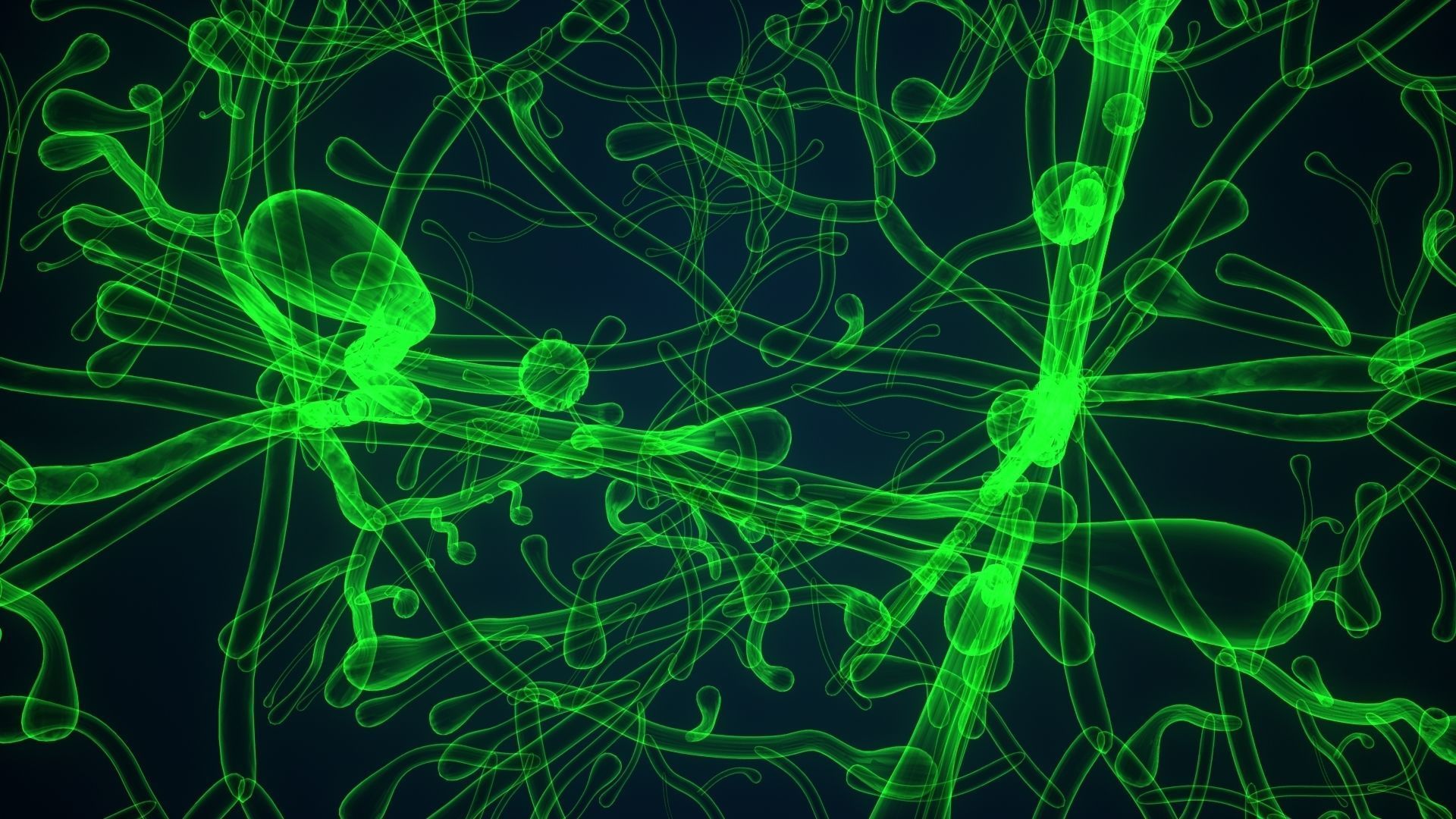 dictyota glowing plant 3D model_2