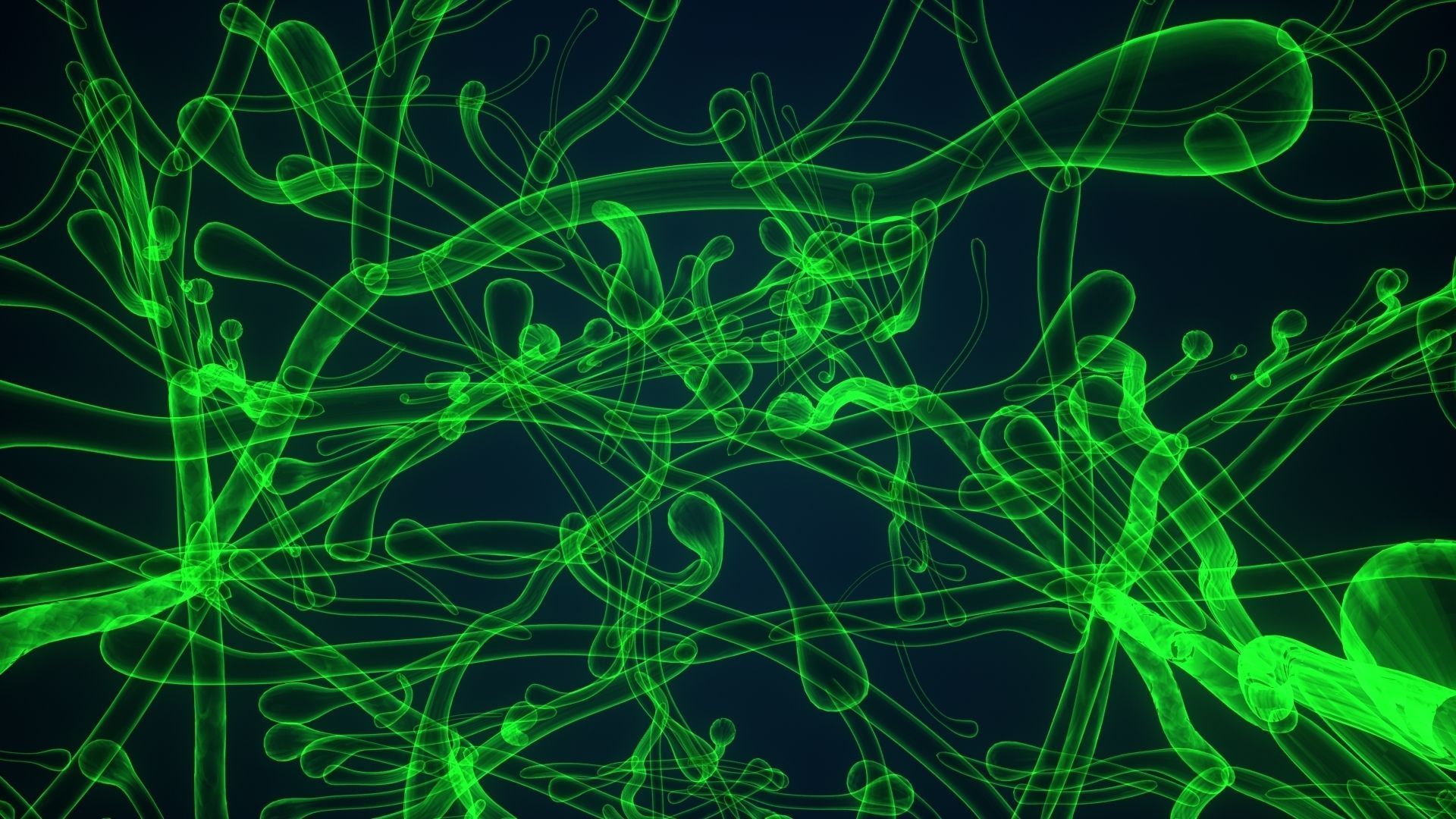 dictyota glowing plant 3D model_8