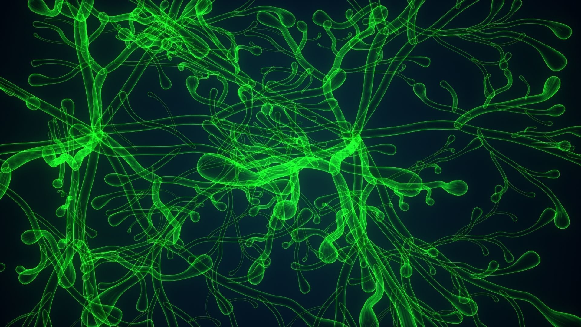 dictyota glowing plant 3D model_10