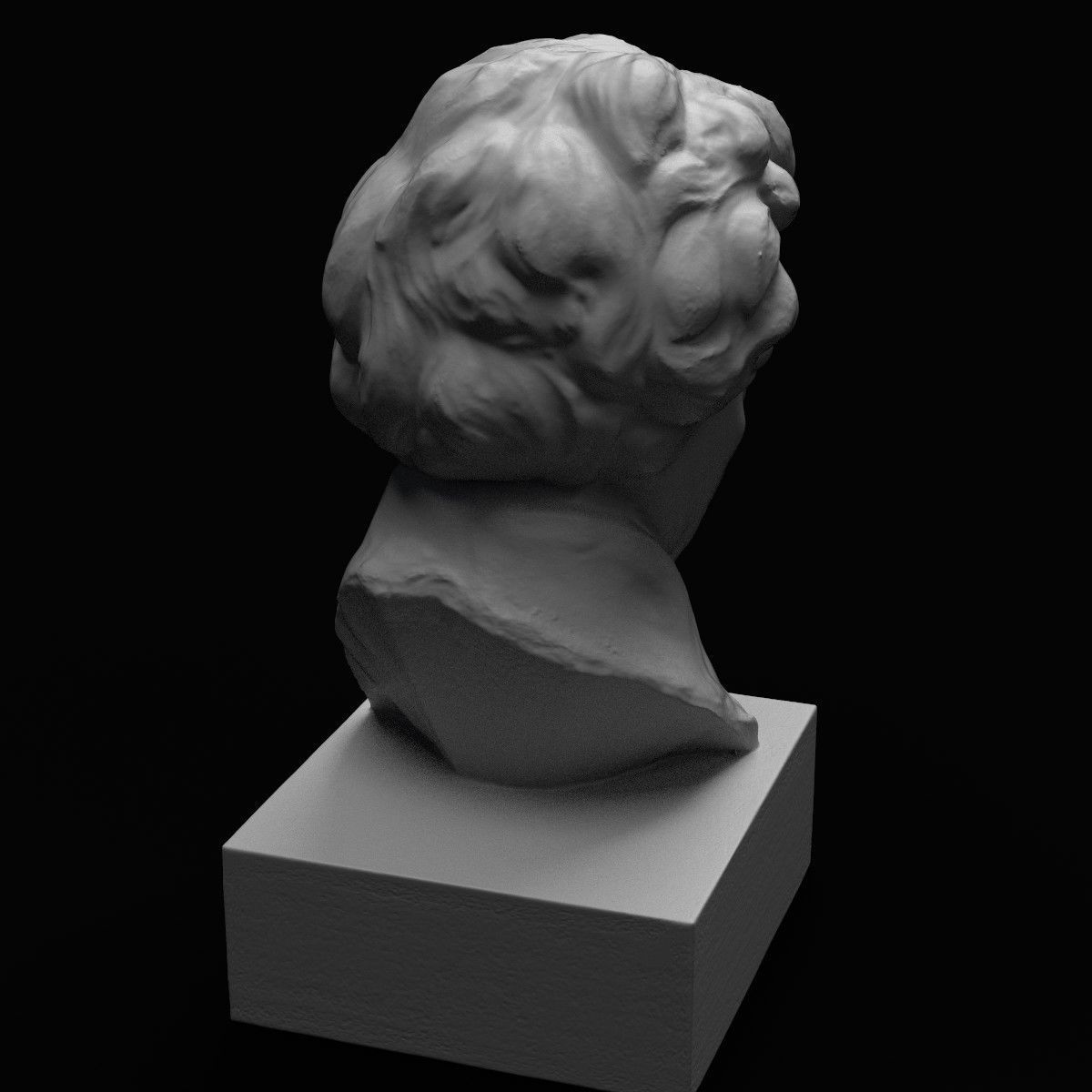 Ludwig van Beethoven Bust 3D print model_8