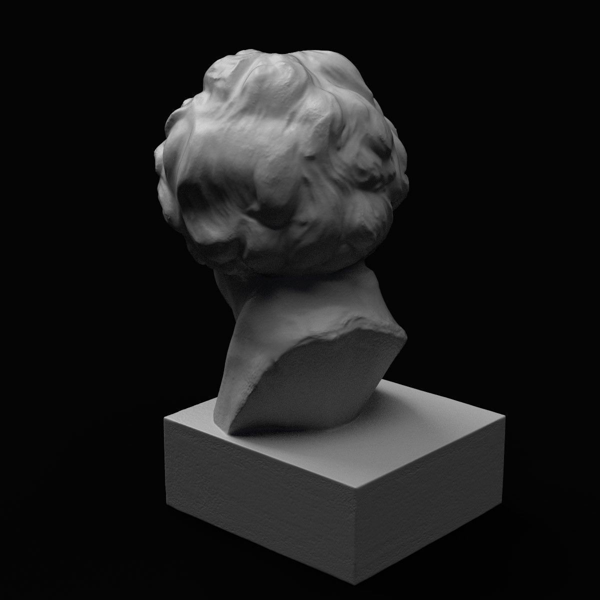 Ludwig van Beethoven Bust 3D print model_7