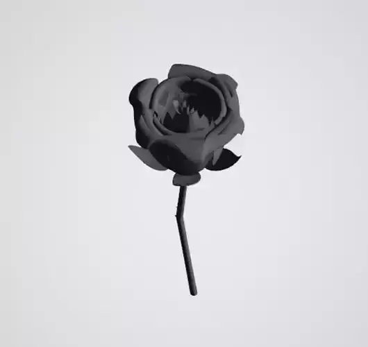 realistic 3d rose flower