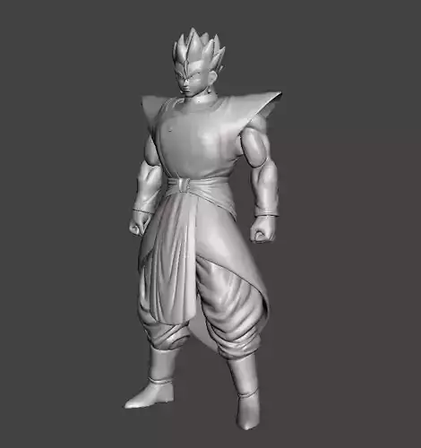 Gohan Kaioshin 3D Model