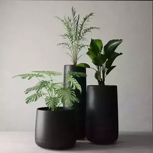 Plants collection 01 3D model