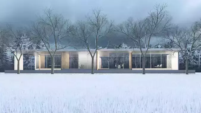 Mies Van der Rohe - Modern House