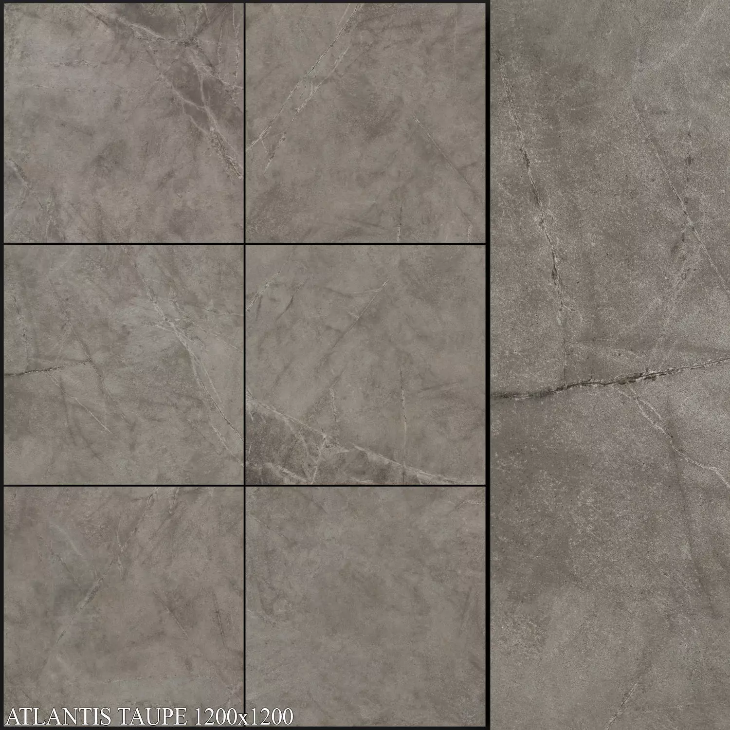 ABK Atlantis Taupe 1200x1200 3D model_0