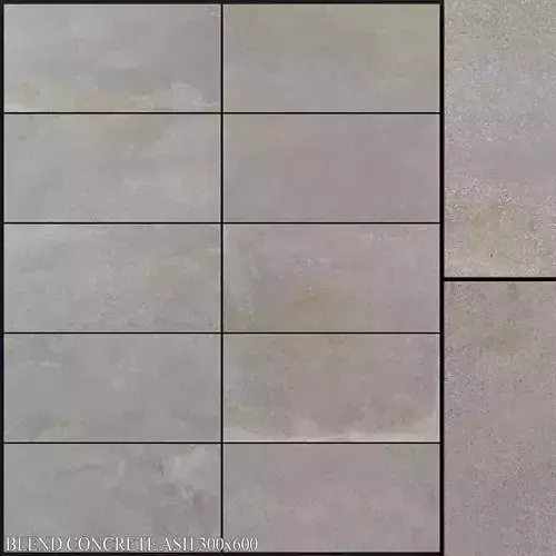 ABK Blend Concrete Ash 300x600