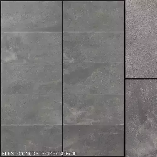 ABK Blend Concrete Grey 300x600