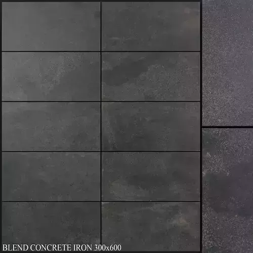 ABK Blend Concrete Iron 300x600