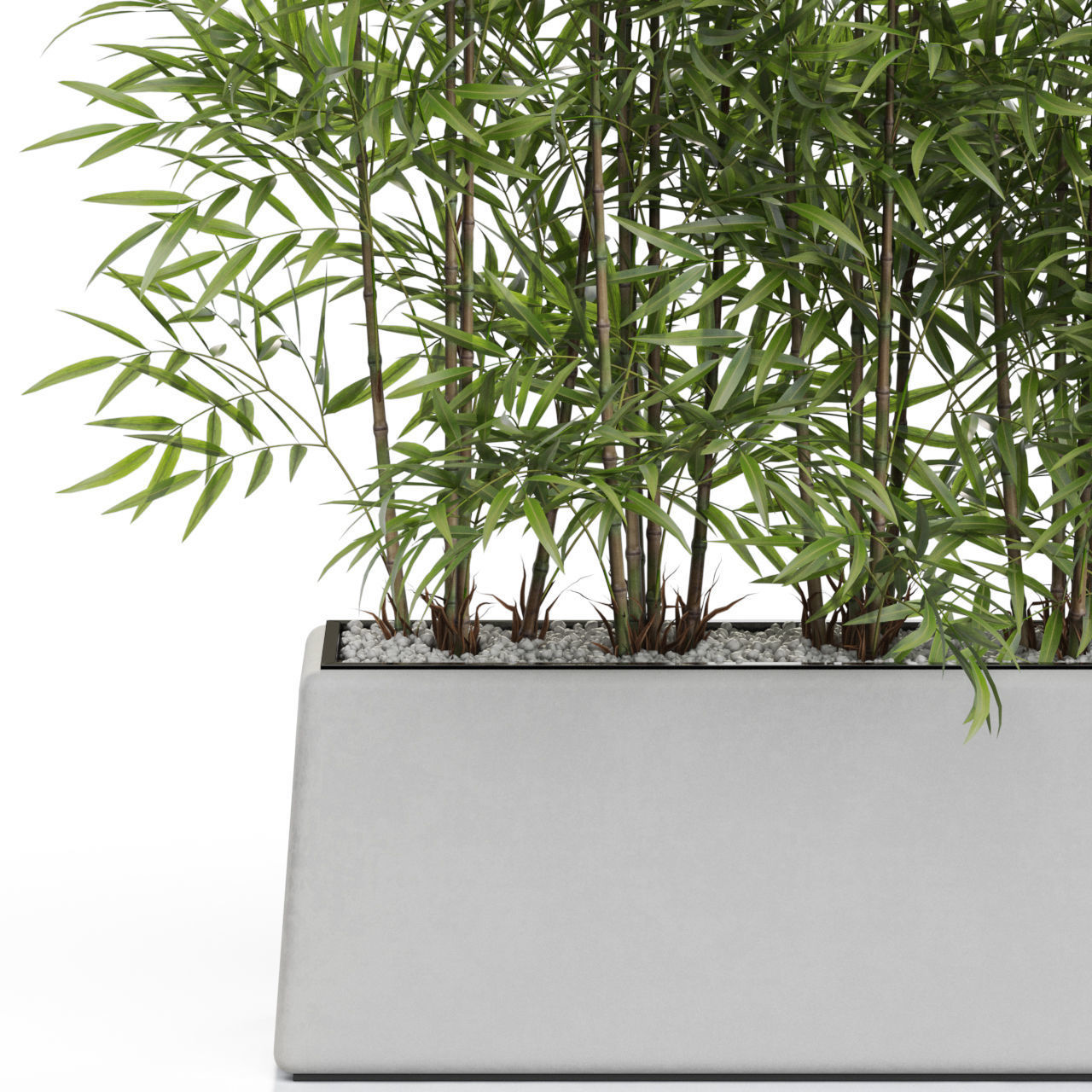 Plants collection 615 3D model_1