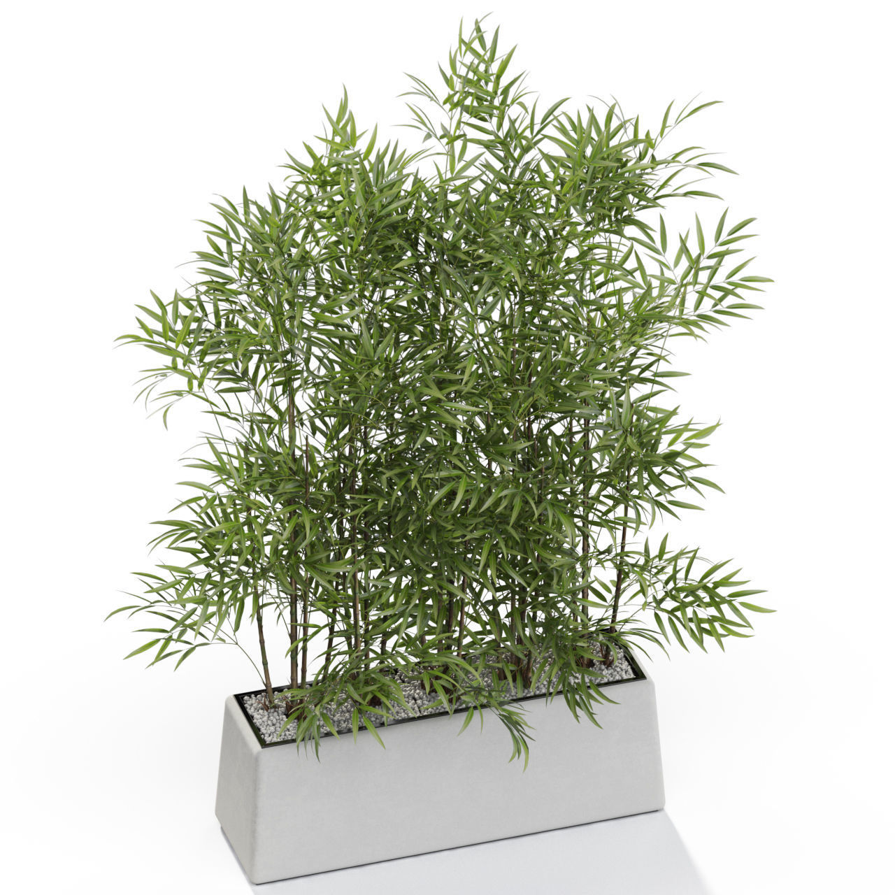 Plants collection 615 3D model_2