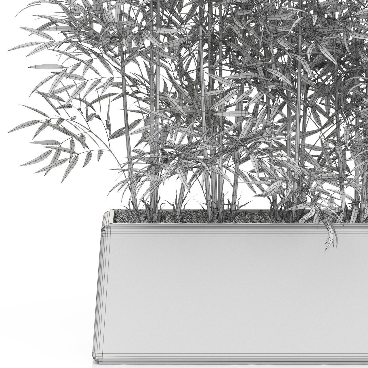 Plants collection 615 3D model_4