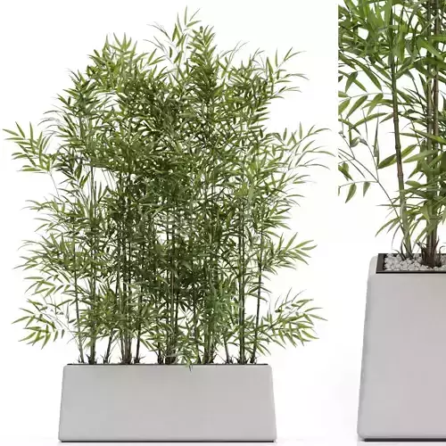 Plants collection 615 3D model