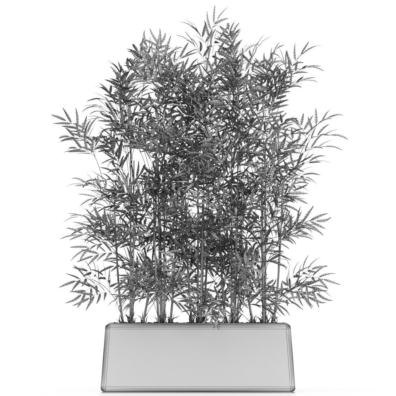 Plants collection 615 3D model_3