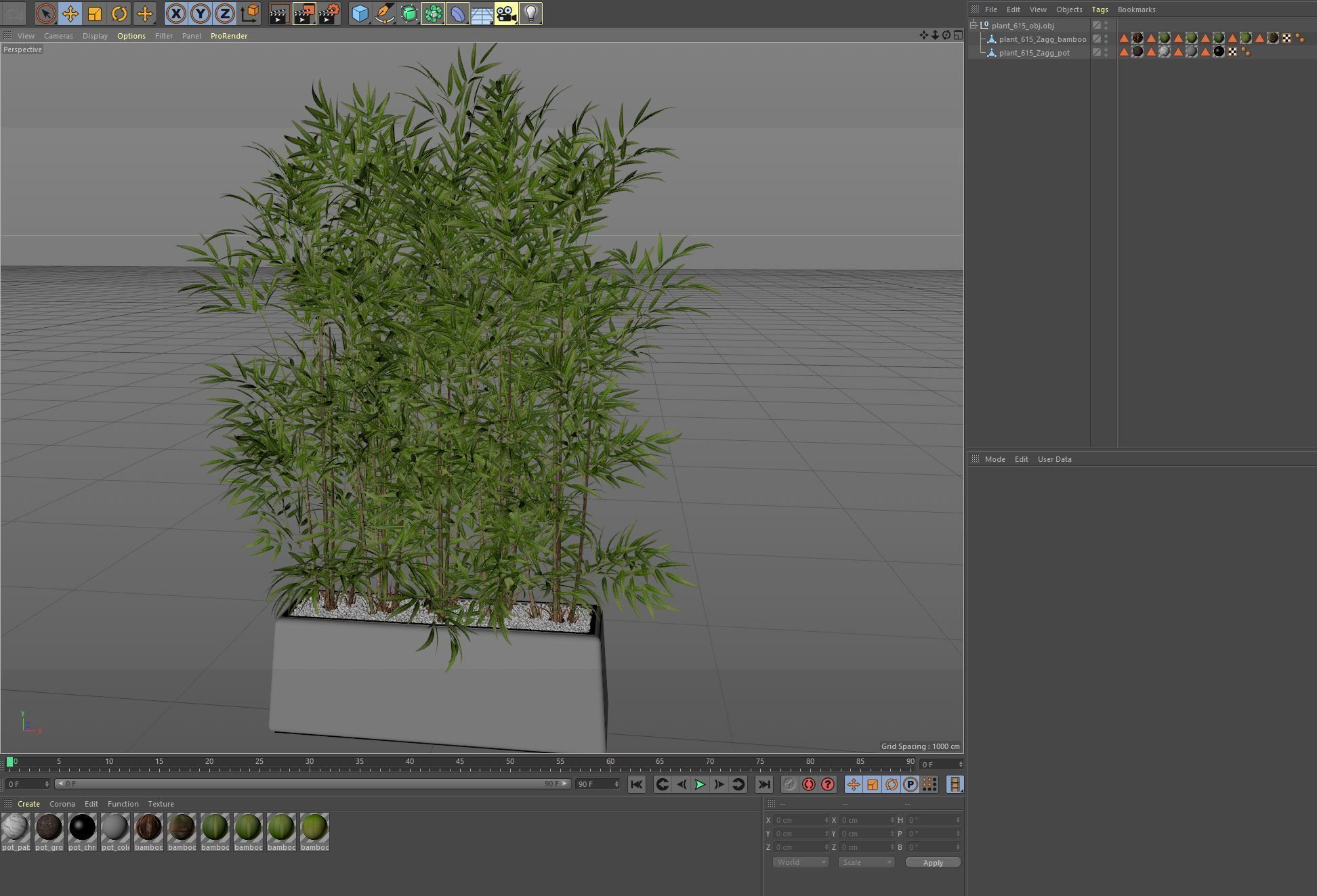 Plants collection 615 3D model_5
