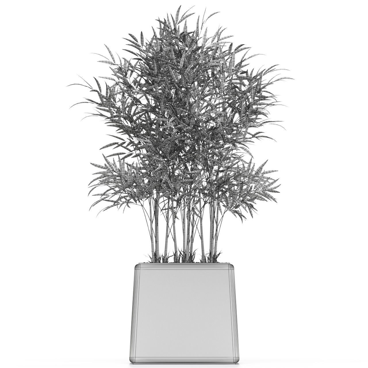 Plants collection 616 3D model_3