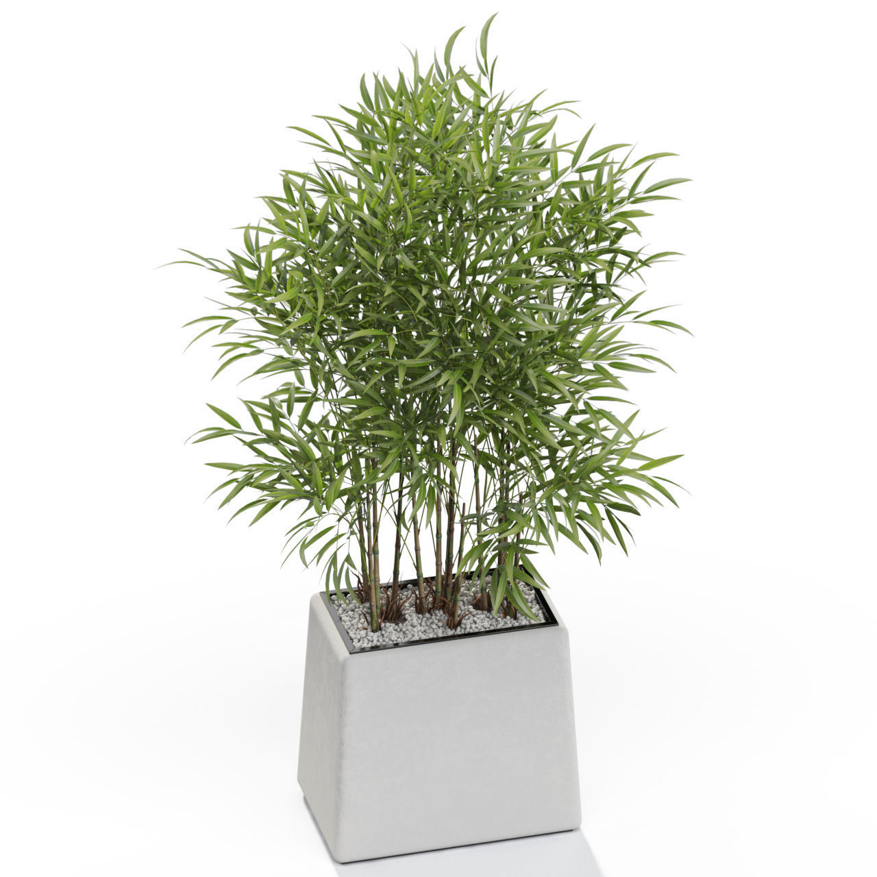 Plants collection 616 3D model_2