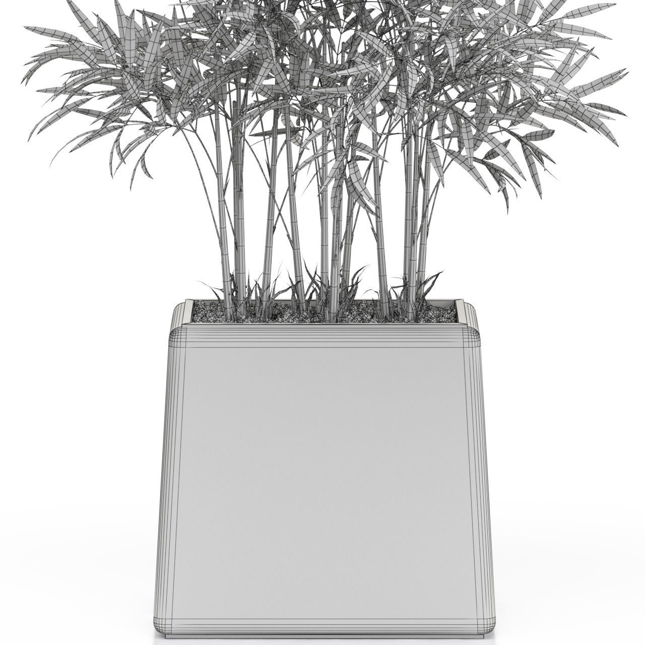 Plants collection 616 3D model_4