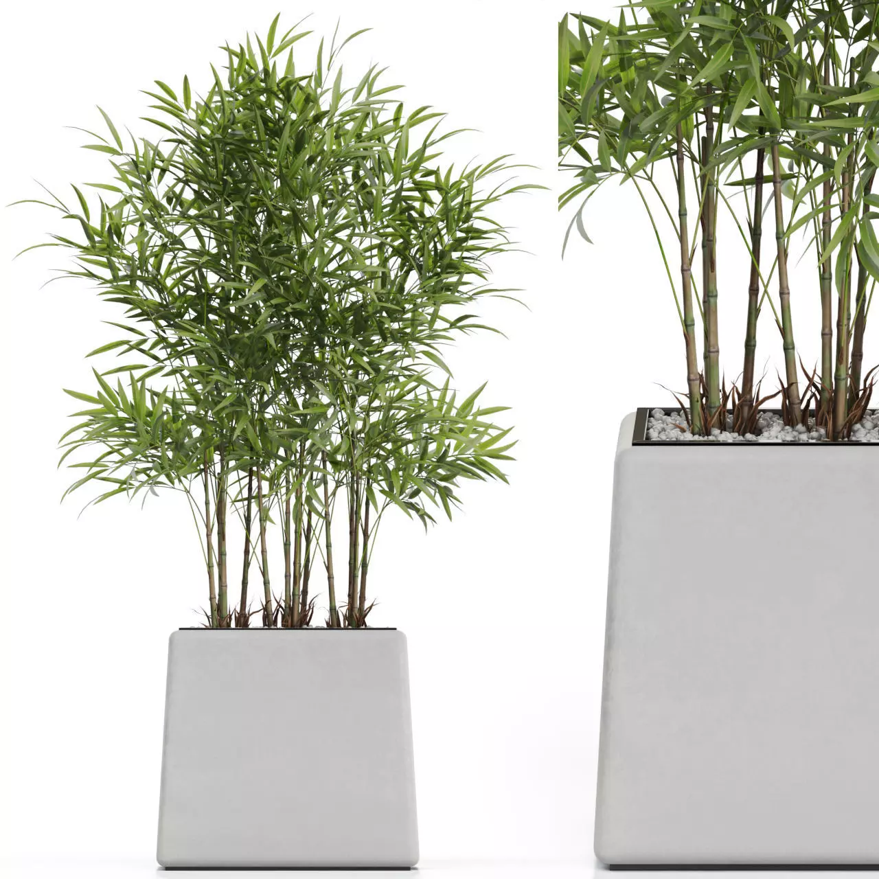 Plants collection 616 3D model_0