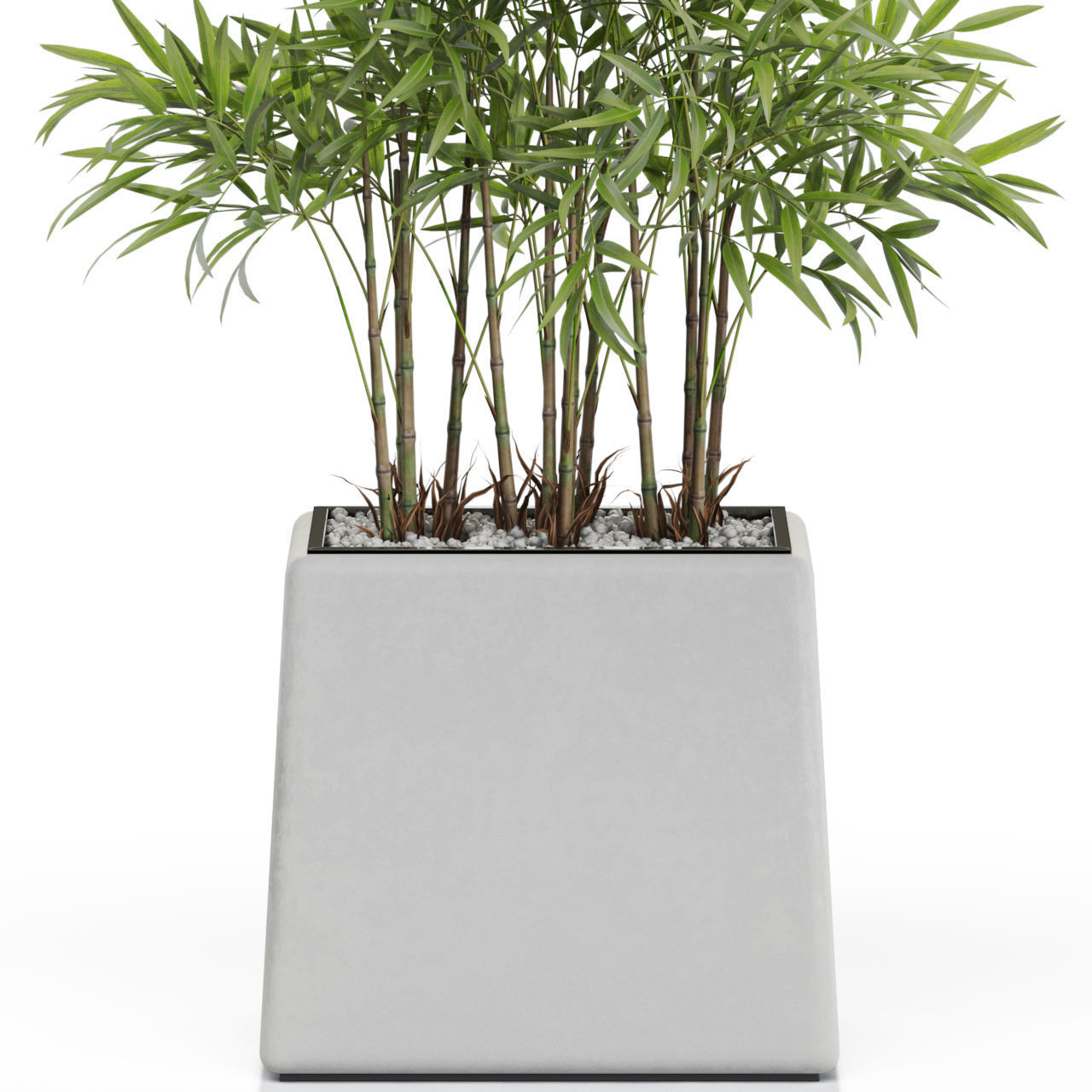Plants collection 616 3D model_1